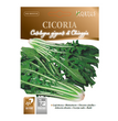 CICORIA CATALOGNA GIGANTE DI CHIOGGIA