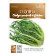 CICORIA CATALOGNA PUNTARELLE DI GALATINA