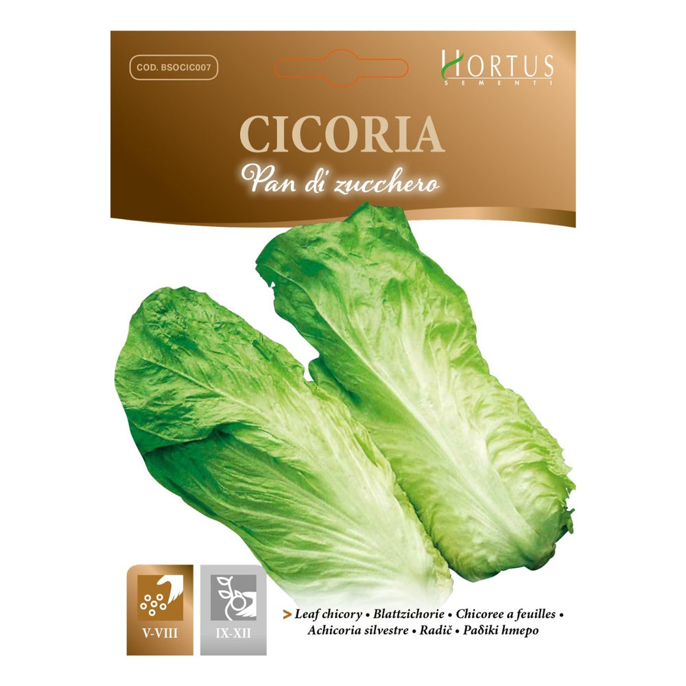 SEMI CICORIA PAN DI ZUCCHERO ZORZI