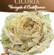 CICORIA VARIEGATA DI CASTELFRANCO
