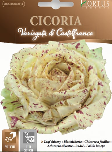 CICORIA VARIEGATA DI CASTELFRANCO