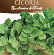 CICORIA ZUCCHERINA DI TRIESTE