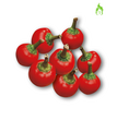 PEPERONE CILIEGIA PICCANTE HORTUS