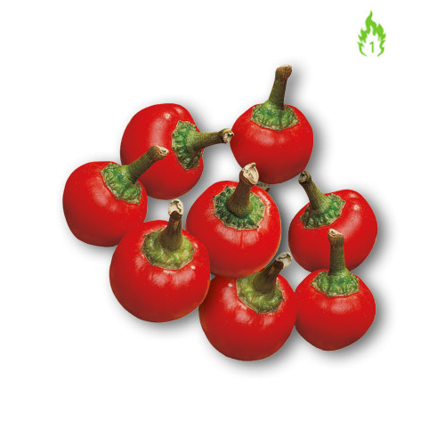 PEPERONE CILIEGIA PICCANTE HORTUS