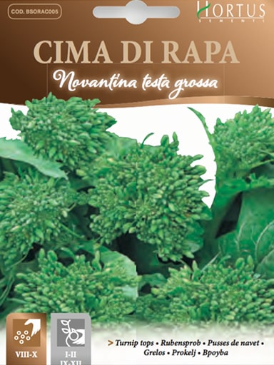 CIMA DI RAPA NOVANTINA TESTA GROSSA