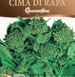 CIMA DI RAPA QUARANTINA TESTA GROSSA