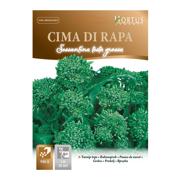 SEMI CIMA DI RAPA SESSANTINA TESTA GROSSA