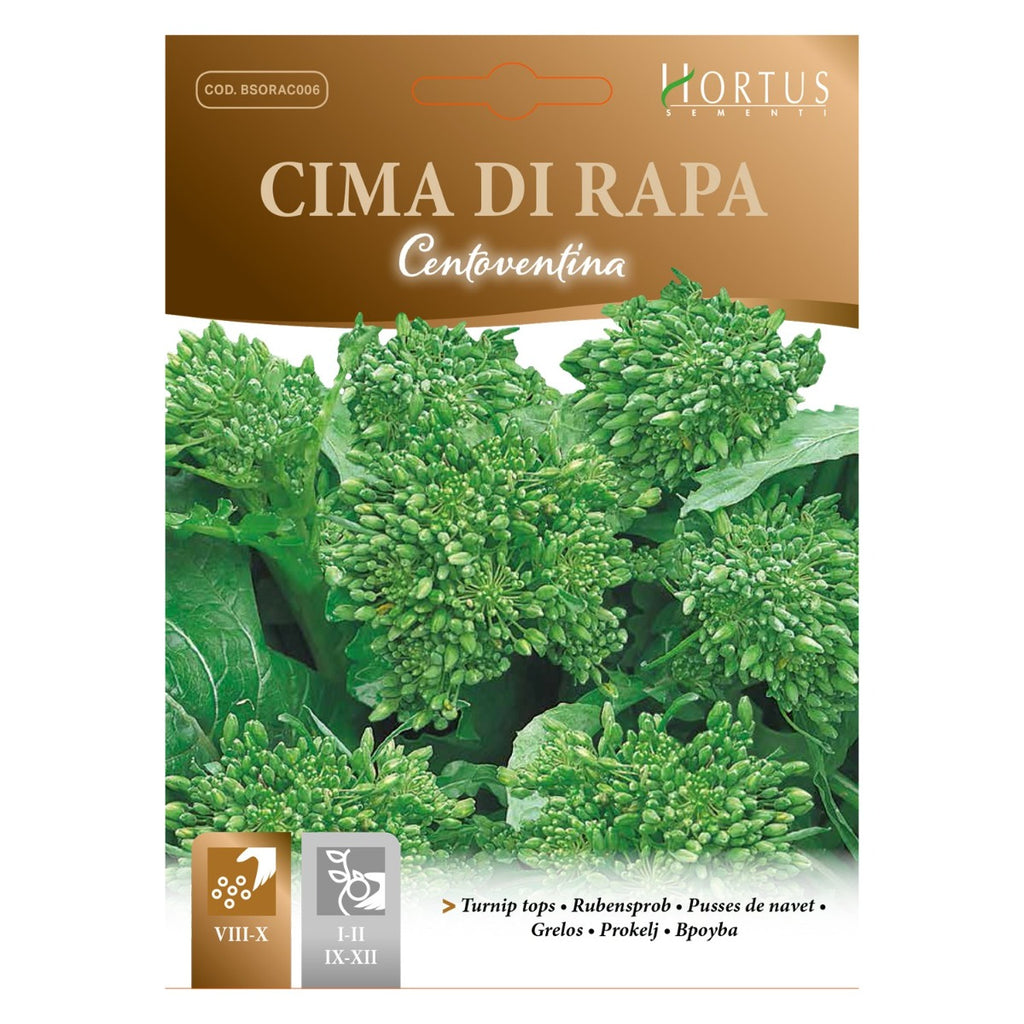 SEMI CIMA DI RAPA CENTOVENTINA