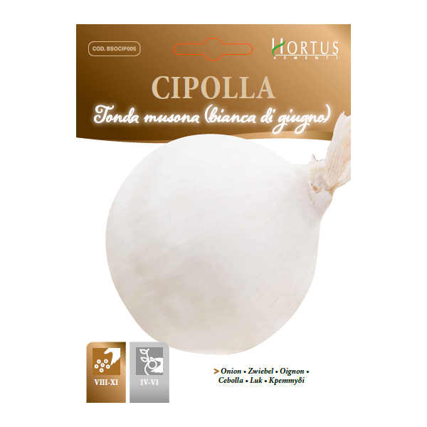 CIPOLLA TONDA MUSONA (BIANCA DI GIUGNO)