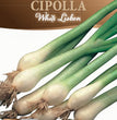 CIPOLLA WHITE LIBSON