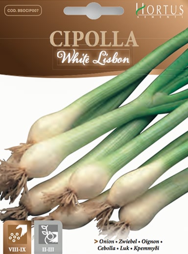 CIPOLLA WHITE LIBSON