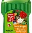 Concime liquido per gerani Bayer