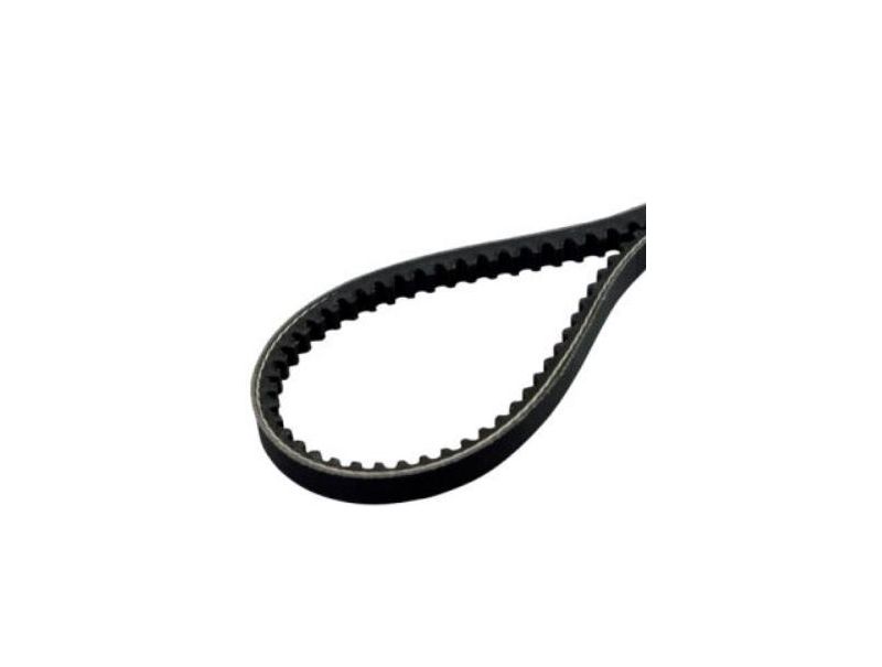 Cinghia dentata ricambio per motozappa MH175RK Oleomac