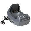 Rasaprato a batteria Oleomac GI48T cm.46 semovente con 2 batterie Bi 5,0 OM e caricabatterie CRG