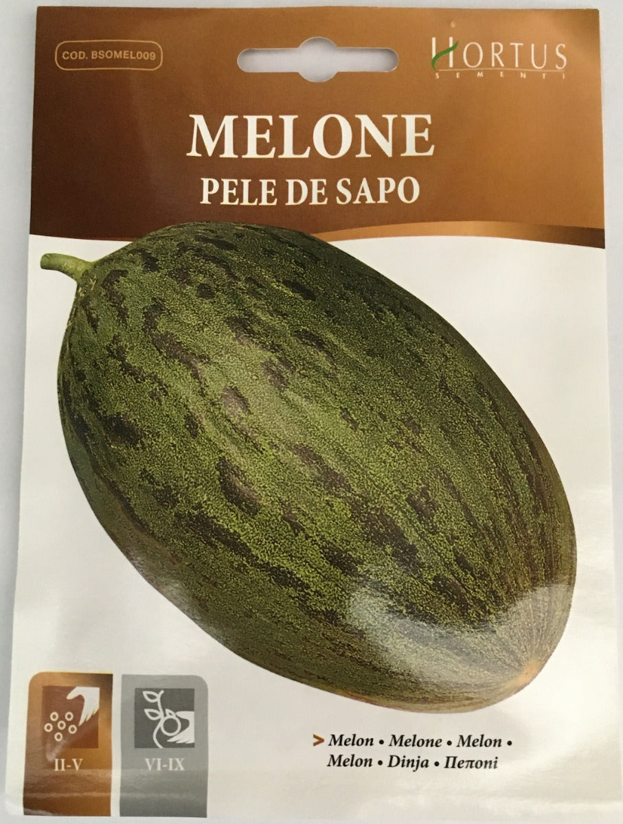 SEMI MELONE PELE DE SAPO