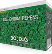Semi prato dichondra repens da 1 kg. Bottos