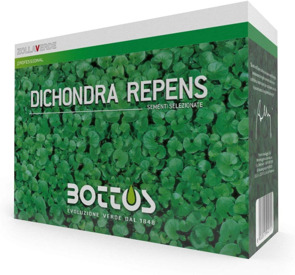 Semi prato dichondra repens da 1 kg. Bottos