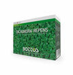 Semi prato dichondra repens gr.500 Bottos