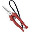 FORBICE COGLIUVA 190 MM LAMA INOX AUSONIA