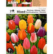 TULIPANI MISTI COLORATI MIXED CONFEZIONE DA 7 BULBI 11/12 CM ELAN