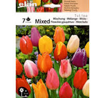 TULIPANI MISTI COLORATI MIXED CONFEZIONE DA 7 BULBI 11/12 CM ELAN