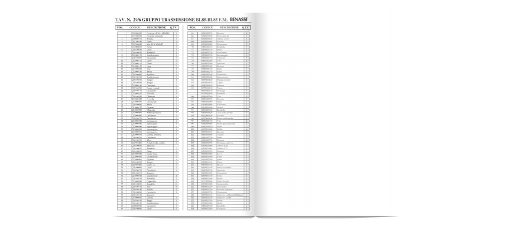 ALBERO ESAGONALE FRESA DIAMETRO 22 BL 85 BENASSI