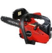 MOTOSEGA DA POTATURA CARVING 25 CM 25.4 CC A SCOPPIO MARCA DUNSCH