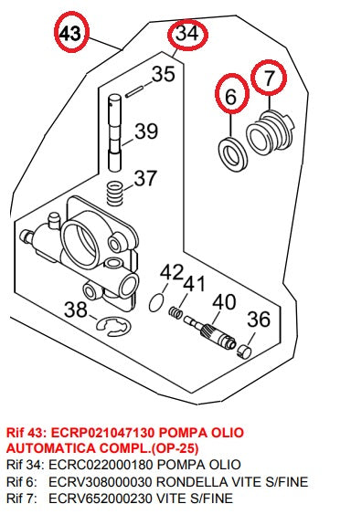 POMPA OLIO ULTIMO PER MOTOSEGA 280TCS/280TS+(VITE ECRV652000230)SHIND