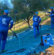 GENERATORE DI CORRENTE ENERGY 4 AD INVERTEER SILENZIATO CAMPAGNOLA