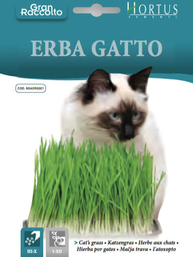 ERBA GATTO