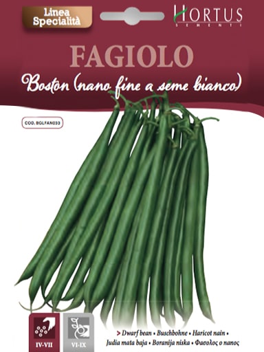 FAGIOLO BOSTON(NANO FINE A SEME BIANCO) BUSTA GR.60