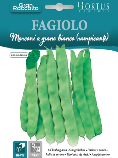 FAGIOLO MARCONI A GRANO BIANCO(RAMPICANTE) BUSTA GR.40