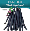 FAGIOLO PURPLE TEEPEE (NANO) BUSTA DA GR.60
