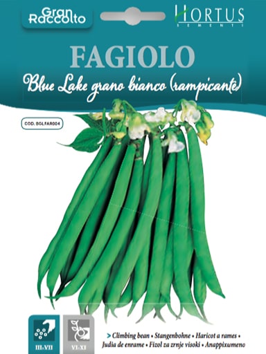 FAGIOLO BLUE LAKE GRANO BIANCO(RAMPICANTE) BUSTA DA GR.40