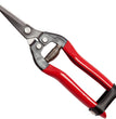 FORBICI COGLIUVA CM.19