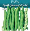 FAVA AGUADULCE SUPERSIMONIA (SEL.SAMBA)
