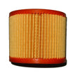 ELEMENTO FILTRANTE D100 RICAMBIO PER COMPRESSORE CAMPAGNOLA