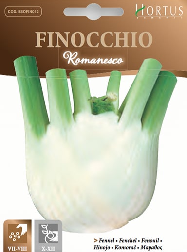 FINOCCHIO ROMANESCO