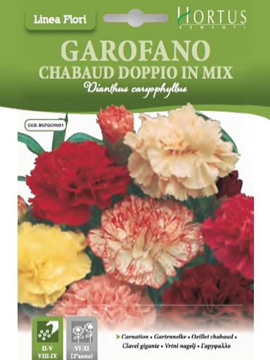 SEMI GAROFANO CHABAUD DOPPIO ROSSO