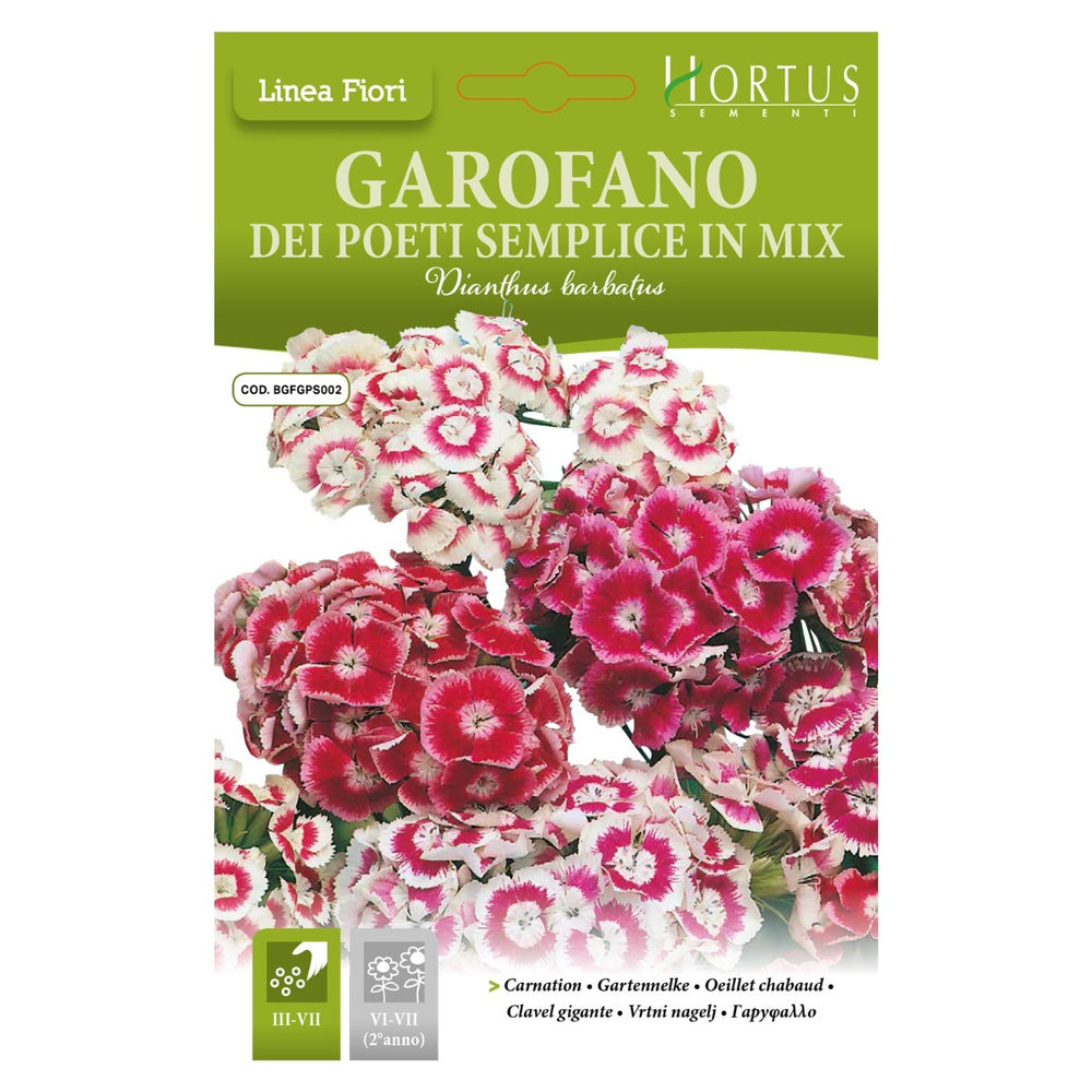 SEMI GAROFANO DEI POETI SEMPLICE IN MIX PIANTHUS BARBATUS