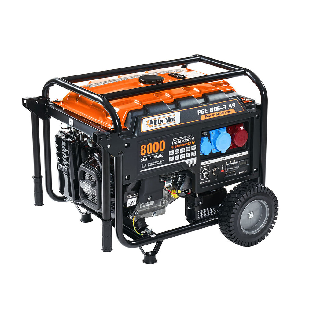 GENERATORE DI CORRENTE OM PGE 80E-3 DCS OLEOMAC