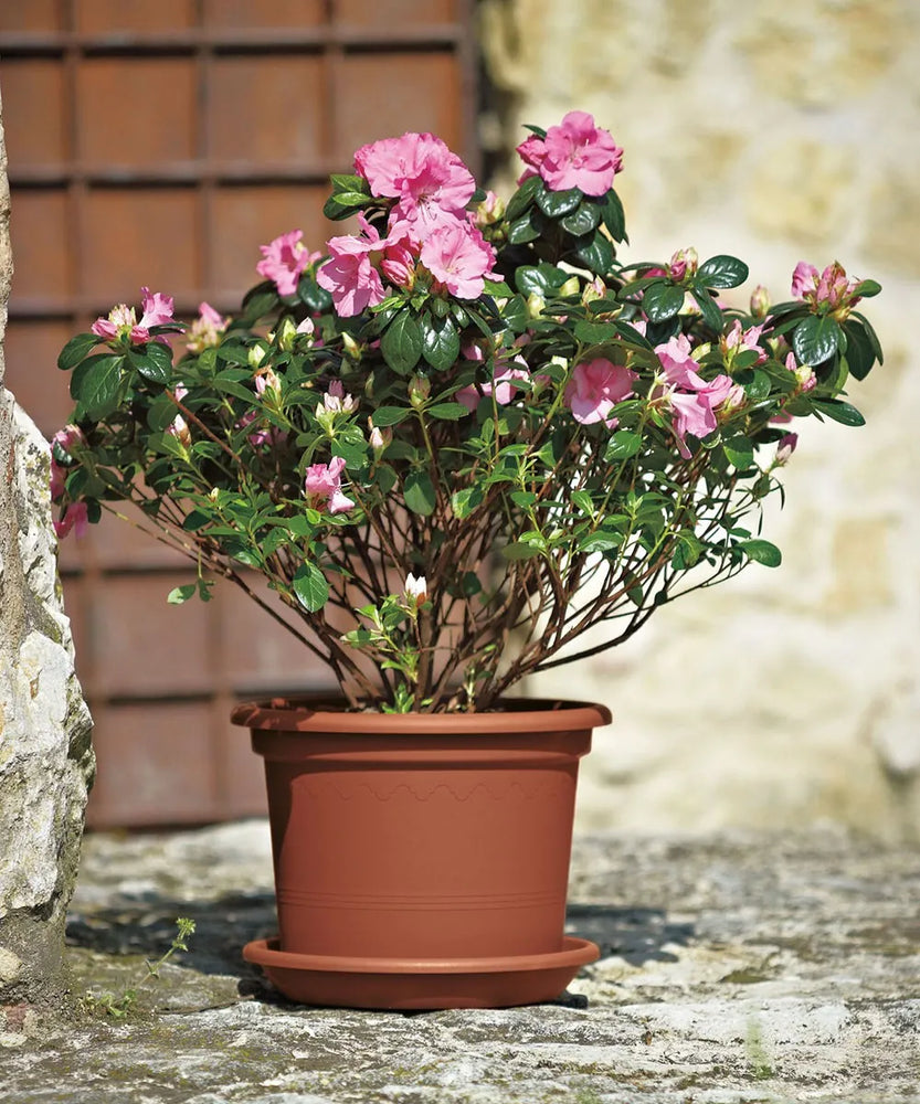 VASO GEO CM.50 TERRACOTTA