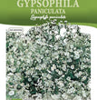 SEMI GYPSOPHILA PANICULATA