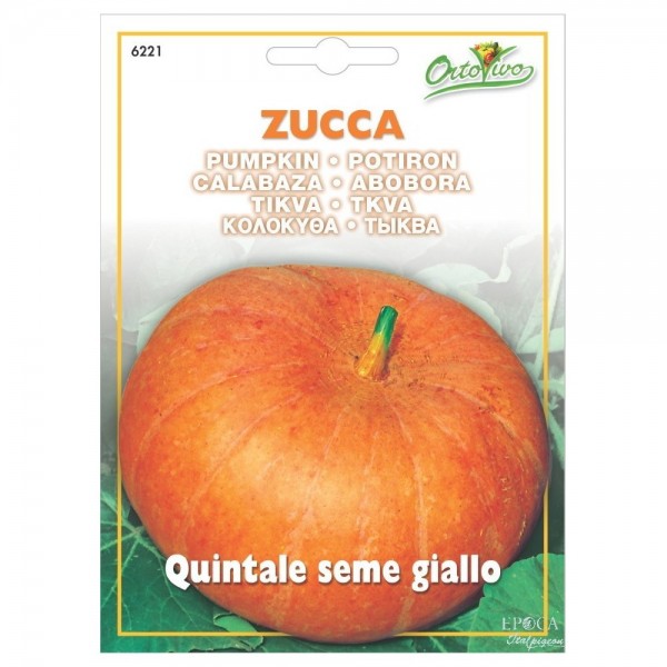 SEMI ZUCCA QUINTALE SEME GIALLO HORTUS
