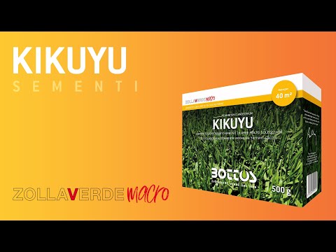 ZOLLA VERDE KIKUYU-GRASS 500GR. BOTTOS