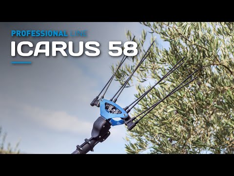 Abbacchiatore a batteria ICARUSA ECO+Asta all.185-270 R0165.0103