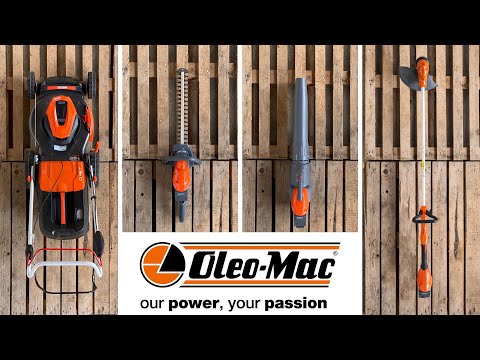 Batteria Oleomac ricambio BI5.0 OM per attrezzi a batteria