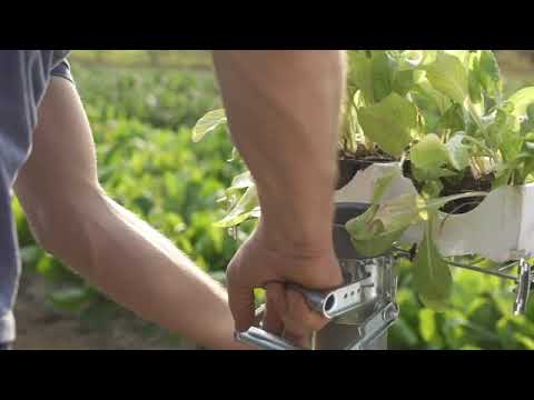 SEMINATRICE MULTIPLANTER SMALL MUGGIOLI