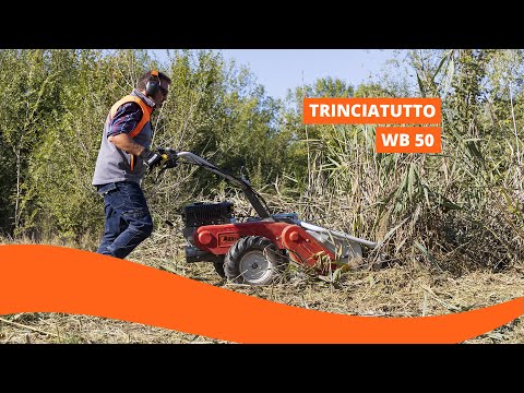 TRINCIASARMENTI WB 50 K 800 H LARGHEZZA TAGLIO  50 CM OLEOMAC