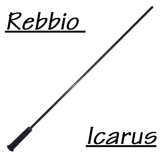 REBBIO PER ICARUS